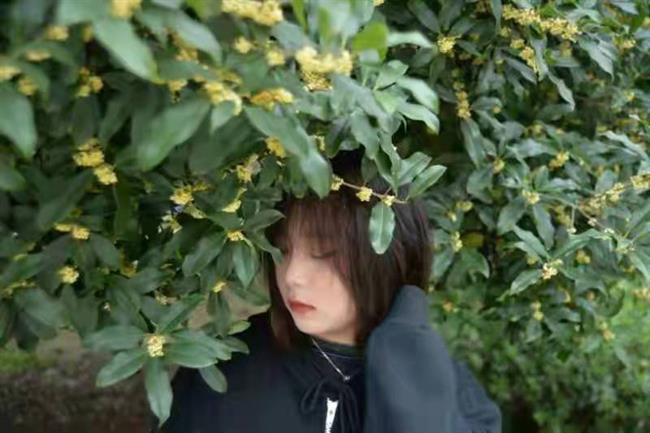 微信图片_20211102124811.jpg 微信图片_20211102124811.jpg